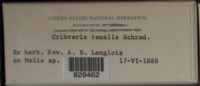 Image Associated With the Occurence